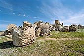 Selinunte the temple hill. Temple G (VI-V c BC), dedicated to Apollo it is one of the largest Greek temples ever attempted. Ruins are left on the ground in a gigantic and fascinating heap of ruins. 